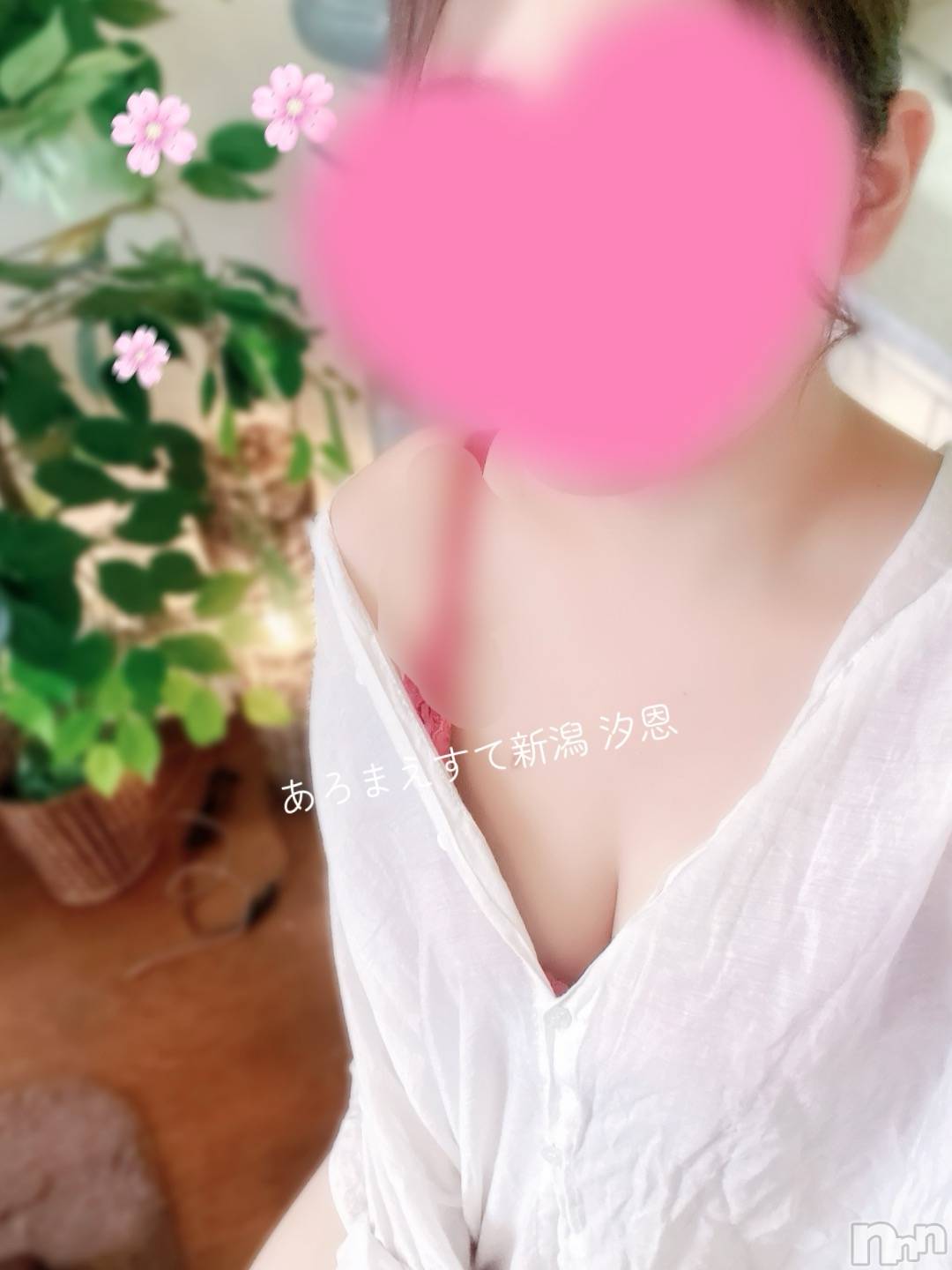 㡦ȯĥꥢ󥺥Ƥޤơ(ޥƥåȥ˥) 2025ǯ922̥֥🍐