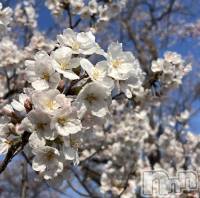 Х顦Lounge M(饦󥸥) ⤫(21)417ֲָ̥֥🌸