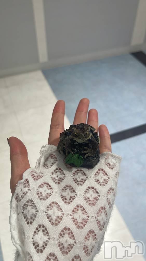 ��ë����Х��顦�����CLUB��Paladin(����֡��ѥ�ǥ���) �����Ǥ�2��12���̥�֥�����🐸⸝⸝꙳��