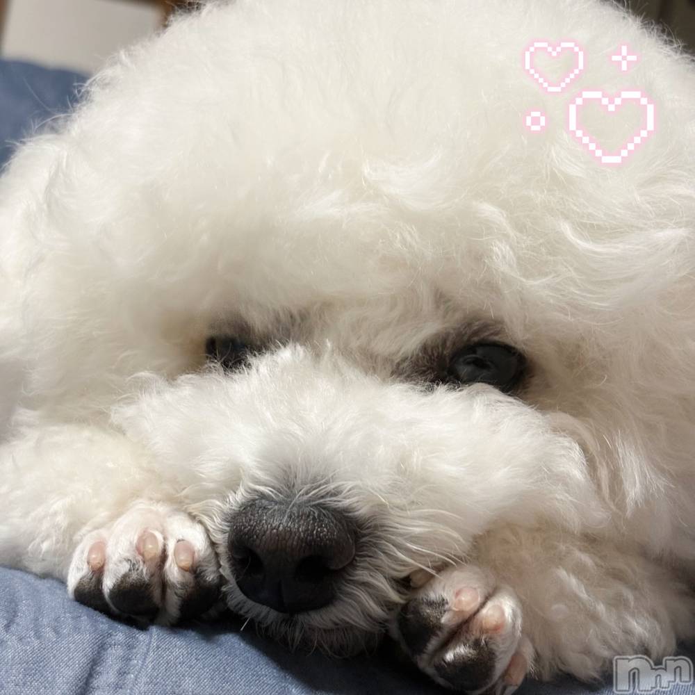 ��ë����Х��顦�����CLUB��Paladin(����֡��ѥ�ǥ���) �����Ǥ�3��2���̥�֥����֤��襤��������