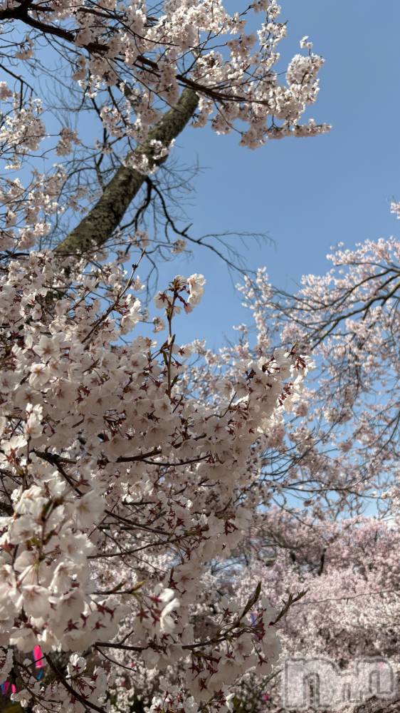 ��ë����Х��顦�����CLUB��Paladin(����֡��ѥ�ǥ���) �����Ǥ�4��9���̥�֥����֤��ָ�✿.*����