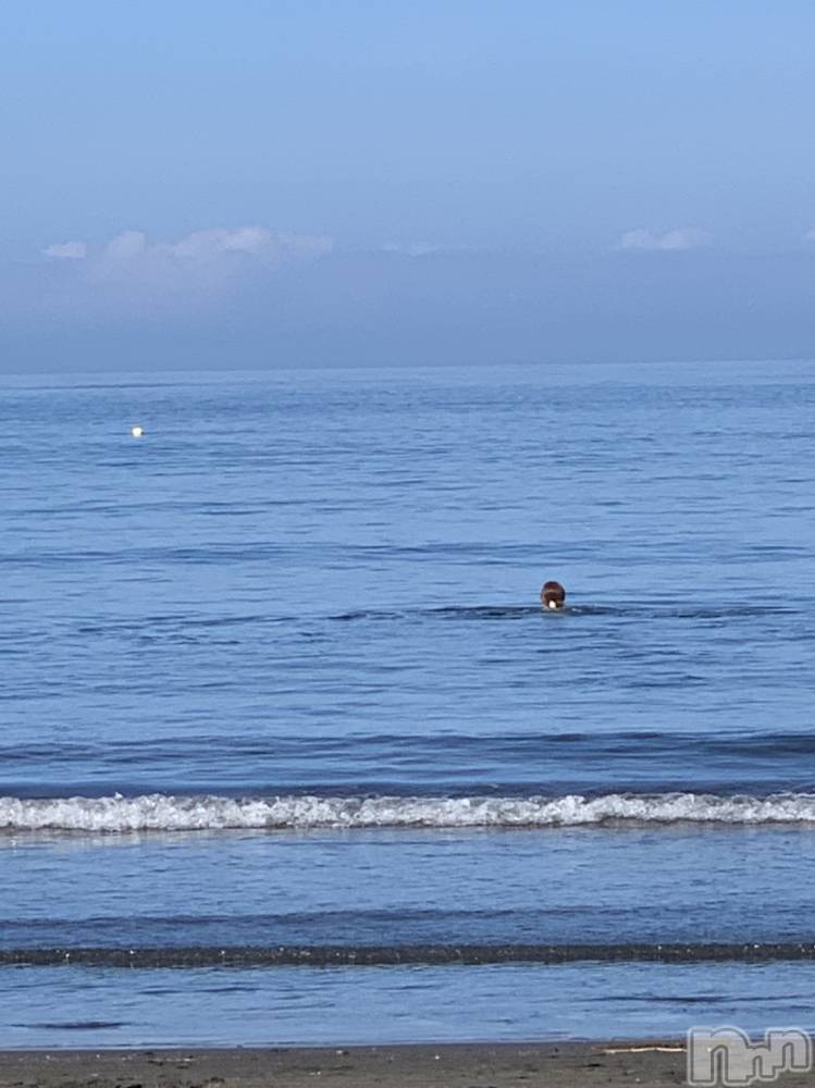 ��ë����Х��顦�����CLUB��Paladin(����֡��ѥ�ǥ���) �����Ǥ�4��23���̥�֥����֤��Ĥ�����🏖🐠☀️��