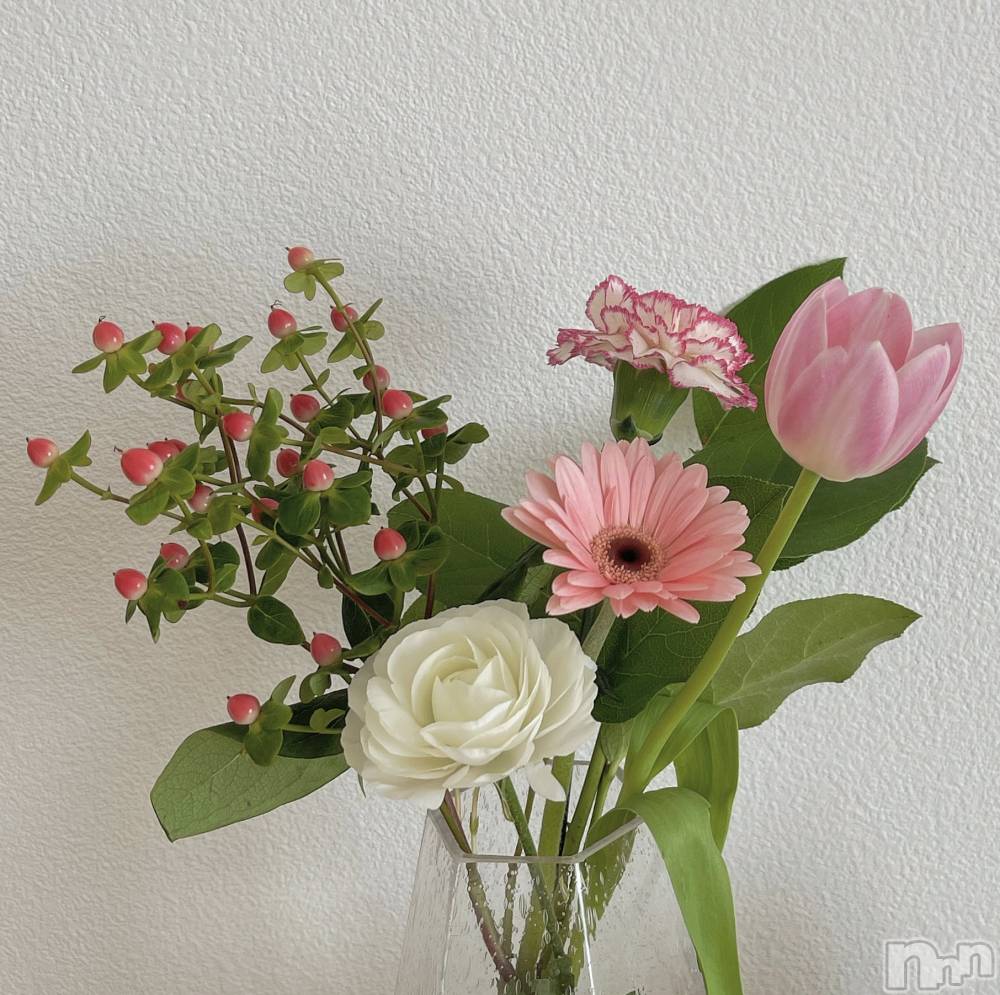 ��ë����Х��顦�����CLUB��Paladin(����֡��ѥ�ǥ���) �����Ǥ�4��27���̥�֥�����💐��