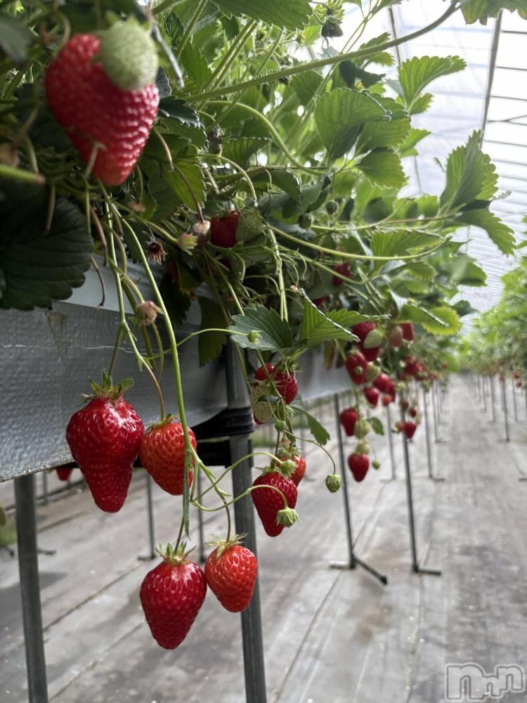 ��ë����Х��顦�����CLUB��Paladin(����֡��ѥ�ǥ���) �����Ǥ�5��17���̥�֥�����ǰ���🍓⸝⸝꙳��