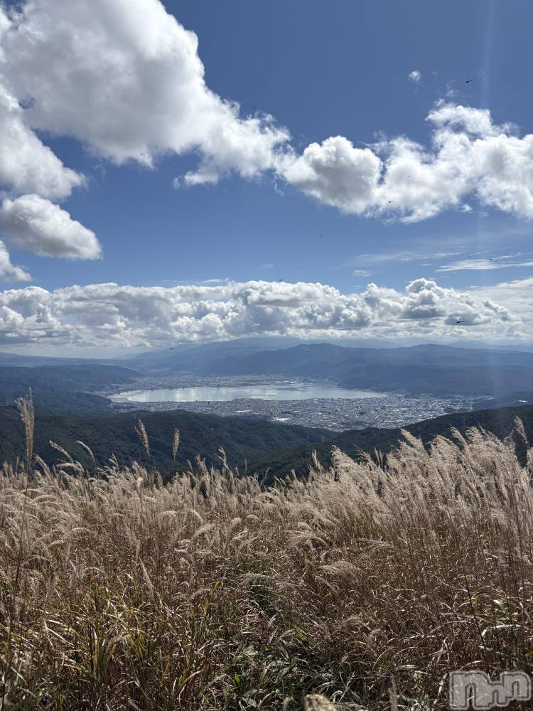 ��ë����Х��顦�����CLUB��Paladin(����֡��ѥ�ǥ���) �����Ǥ�10��1���̥�֥����ּ�������🕊‎��