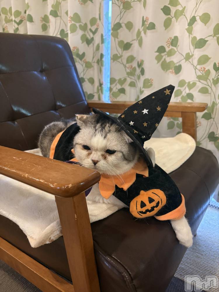 ��ë����Х��顦�����CLUB��Paladin(����֡��ѥ�ǥ���) �����Ǥ�10��29���̥�֥�����ǰ��Ρ���🐾��