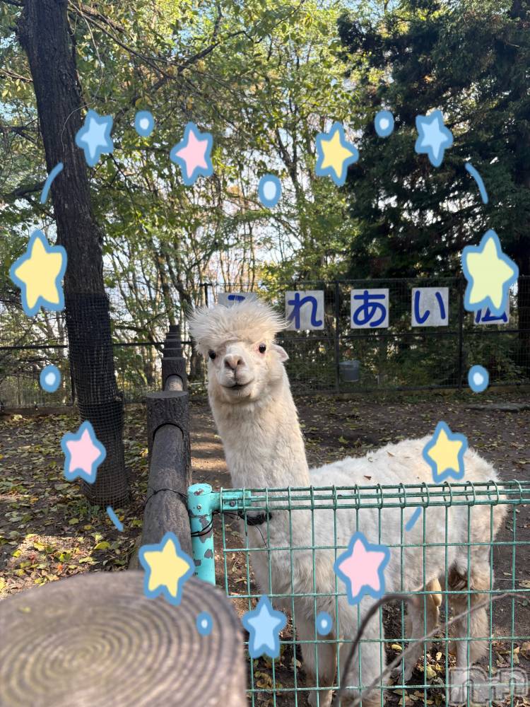 ��ë����Х��顦�����CLUB��Paladin(����֡��ѥ�ǥ���) �����Ǥ�11��18���̥�֥����֤դ�դ蘆���