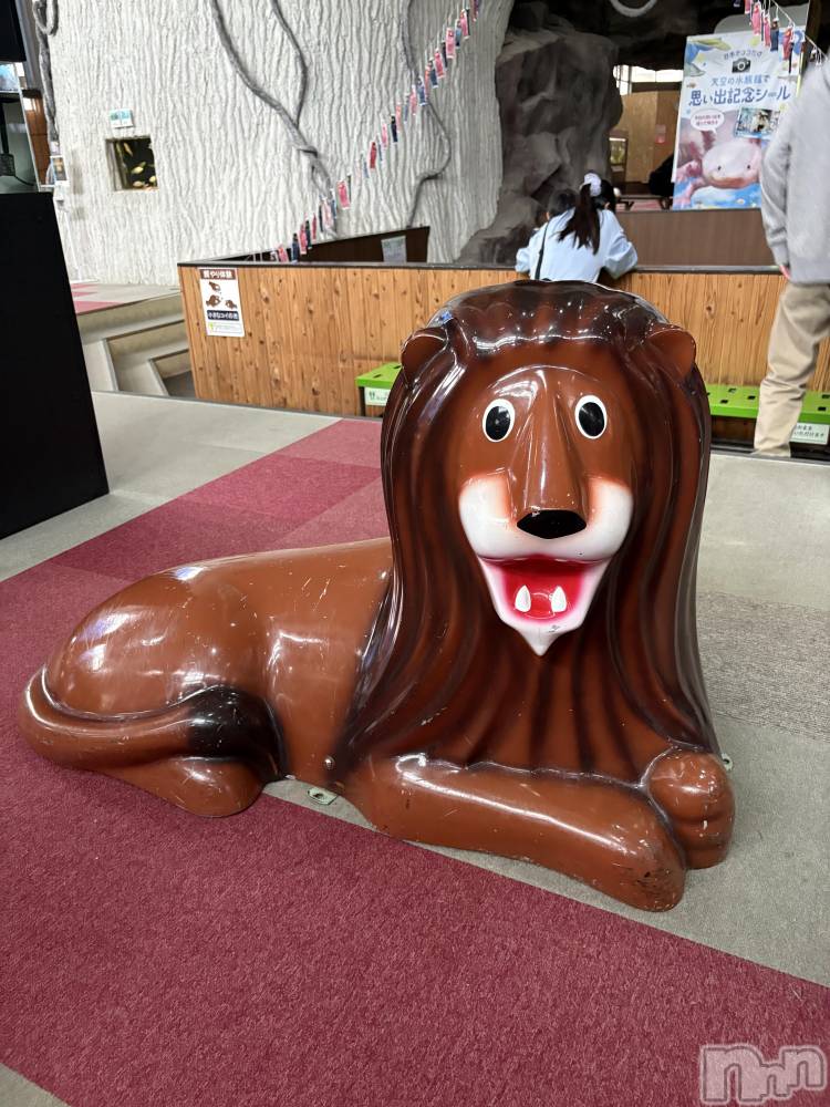 ��ë����Х��顦�����CLUB��Paladin(����֡��ѥ�ǥ���) �����Ǥ�11��25���̥�֥����֤����餷�Ƥ�͡�