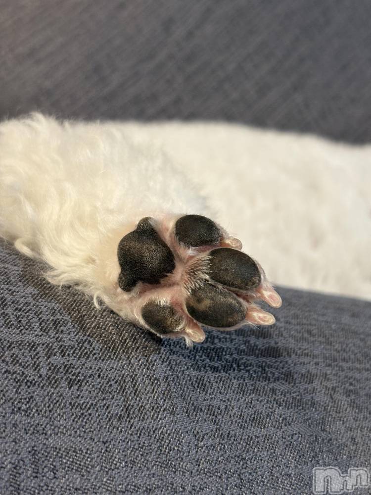 ��ë����Х��顦�����CLUB��Paladin(����֡��ѥ�ǥ���) �����Ǥ�12��18���̥�֥�����🐾🤍��