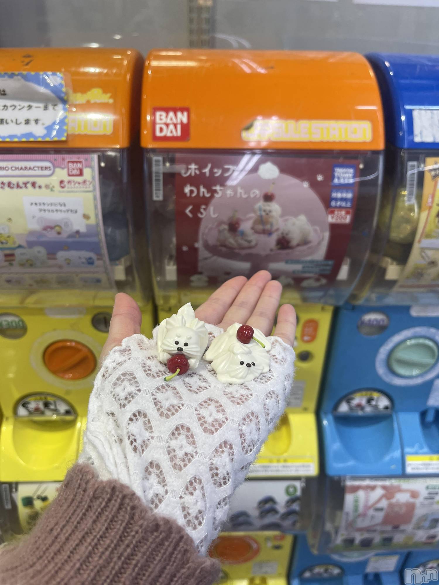 ��ë����Х��顦�����CLUB��Paladin(����֡��ѥ�ǥ���) ��2025ǯ2��10���̥�֥�����🧴🩰︎ ︎︎︎︎︎☁️��