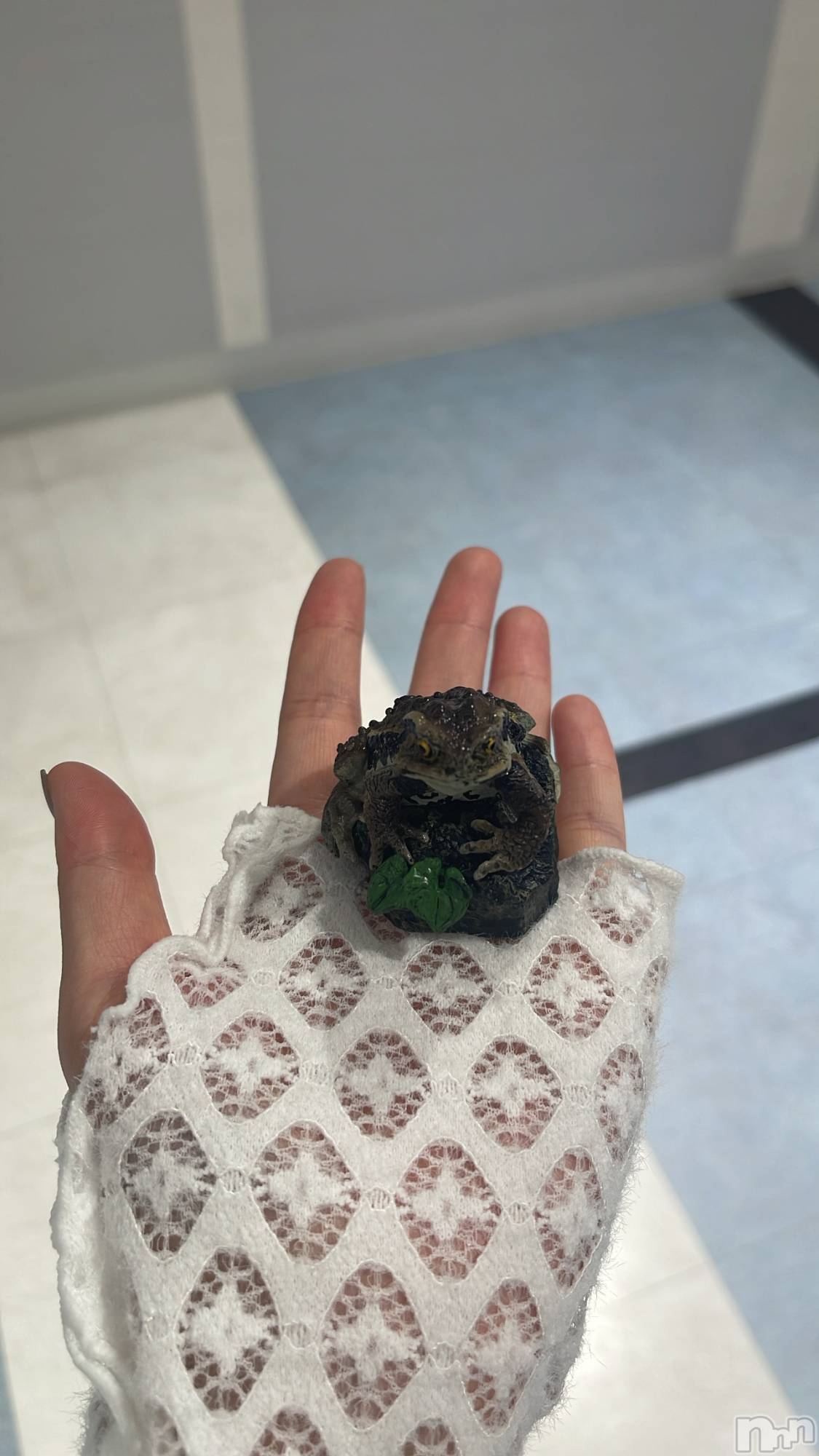 ��ë����Х��顦�����CLUB��Paladin(����֡��ѥ�ǥ���) ��2025ǯ2��12���̥�֥�����🐸⸝⸝꙳��