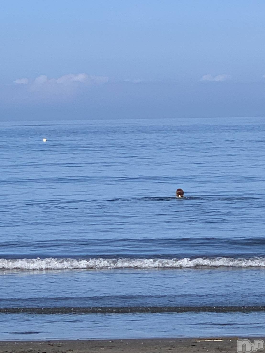 ��ë����Х��顦�����CLUB��Paladin(����֡��ѥ�ǥ���) ��2025ǯ4��23���̥�֥����֤��Ĥ�����🏖🐠☀️��