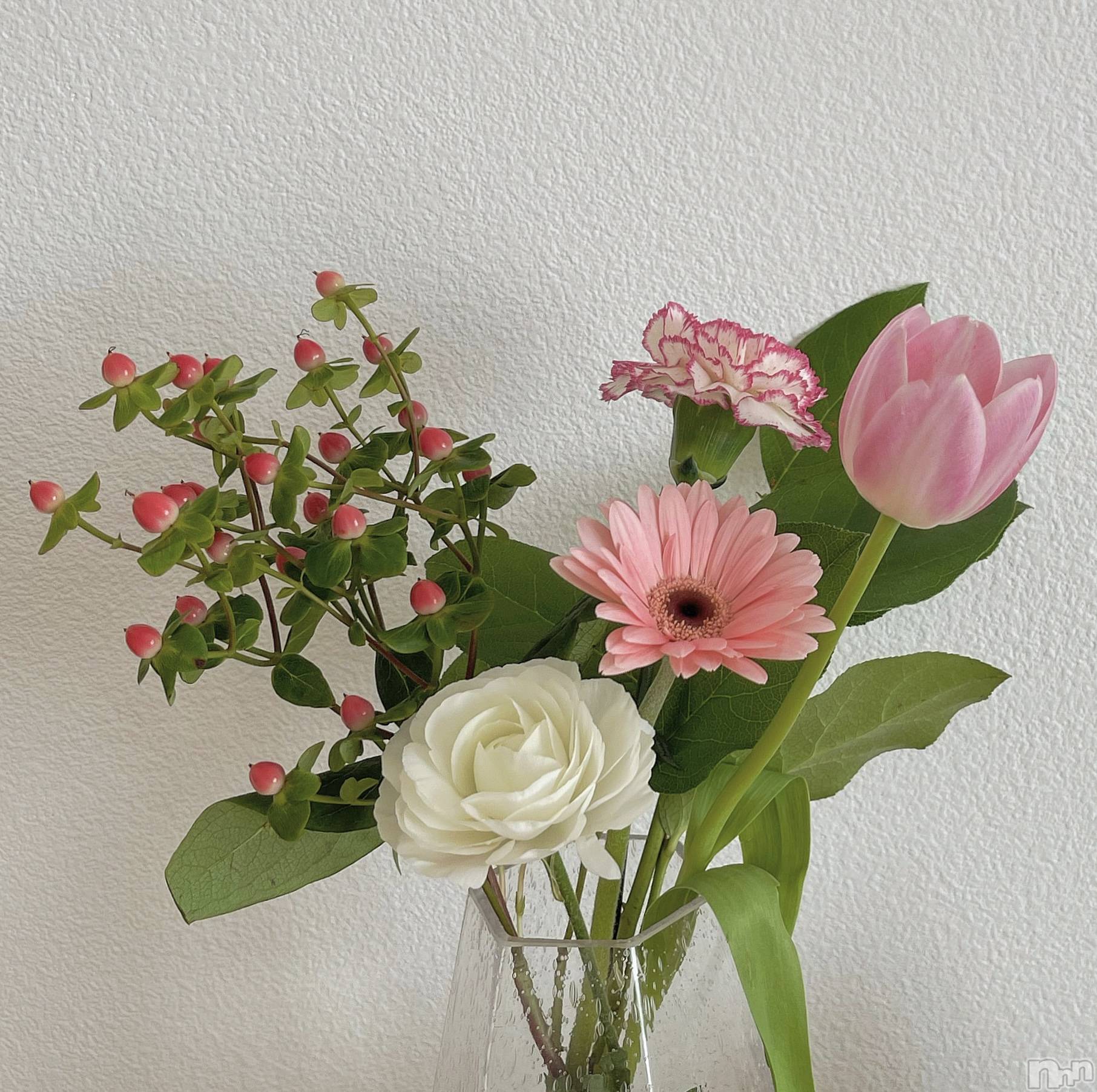 ��ë����Х��顦�����CLUB��Paladin(����֡��ѥ�ǥ���) ��2025ǯ4��27���̥�֥�����💐��