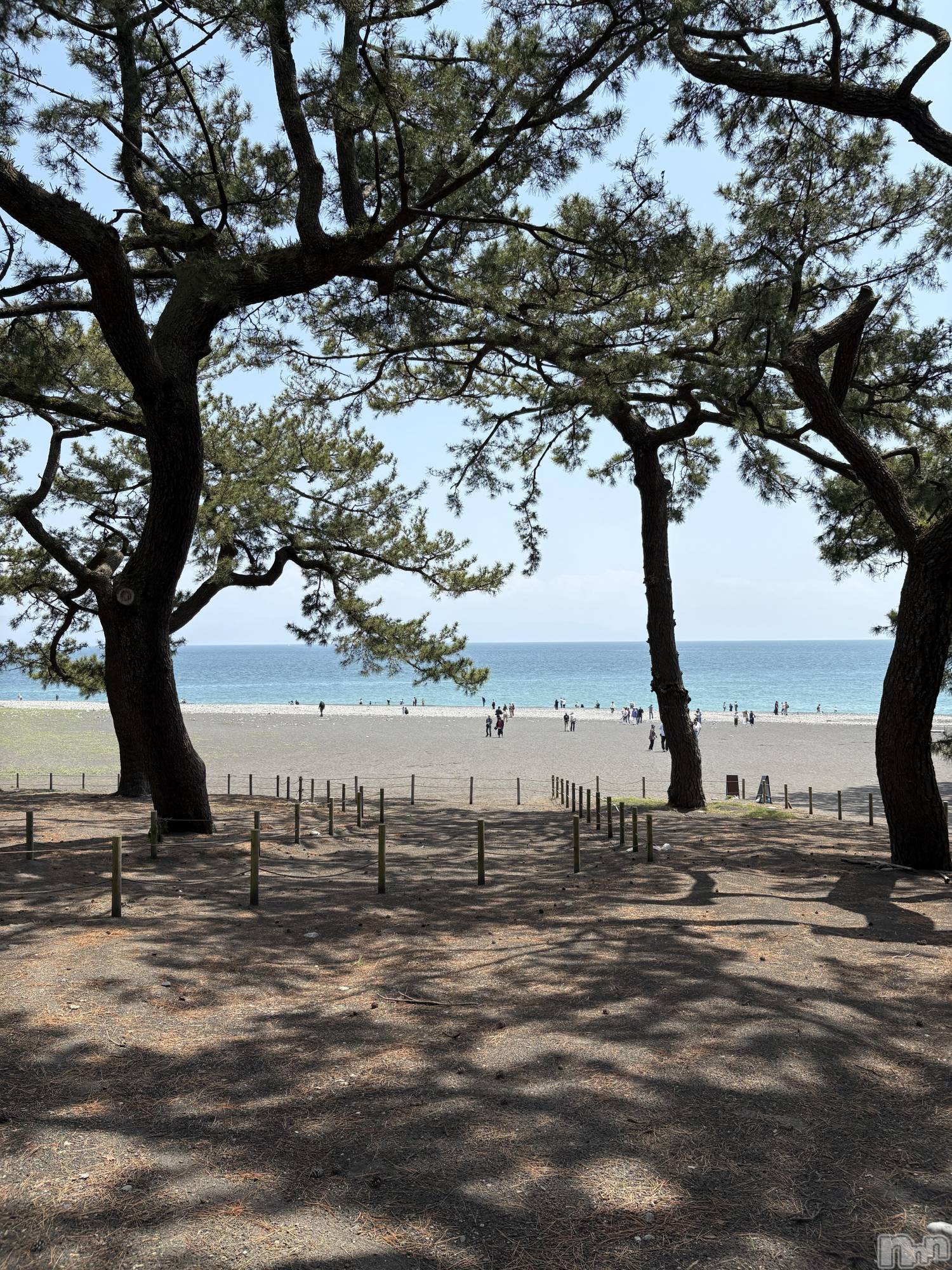 ��ë����Х��顦�����CLUB��Paladin(����֡��ѥ�ǥ���) ��2025ǯ4��29���̥�֥����ֺ�ǯ��𓆟𓂃𓈒𓏸��