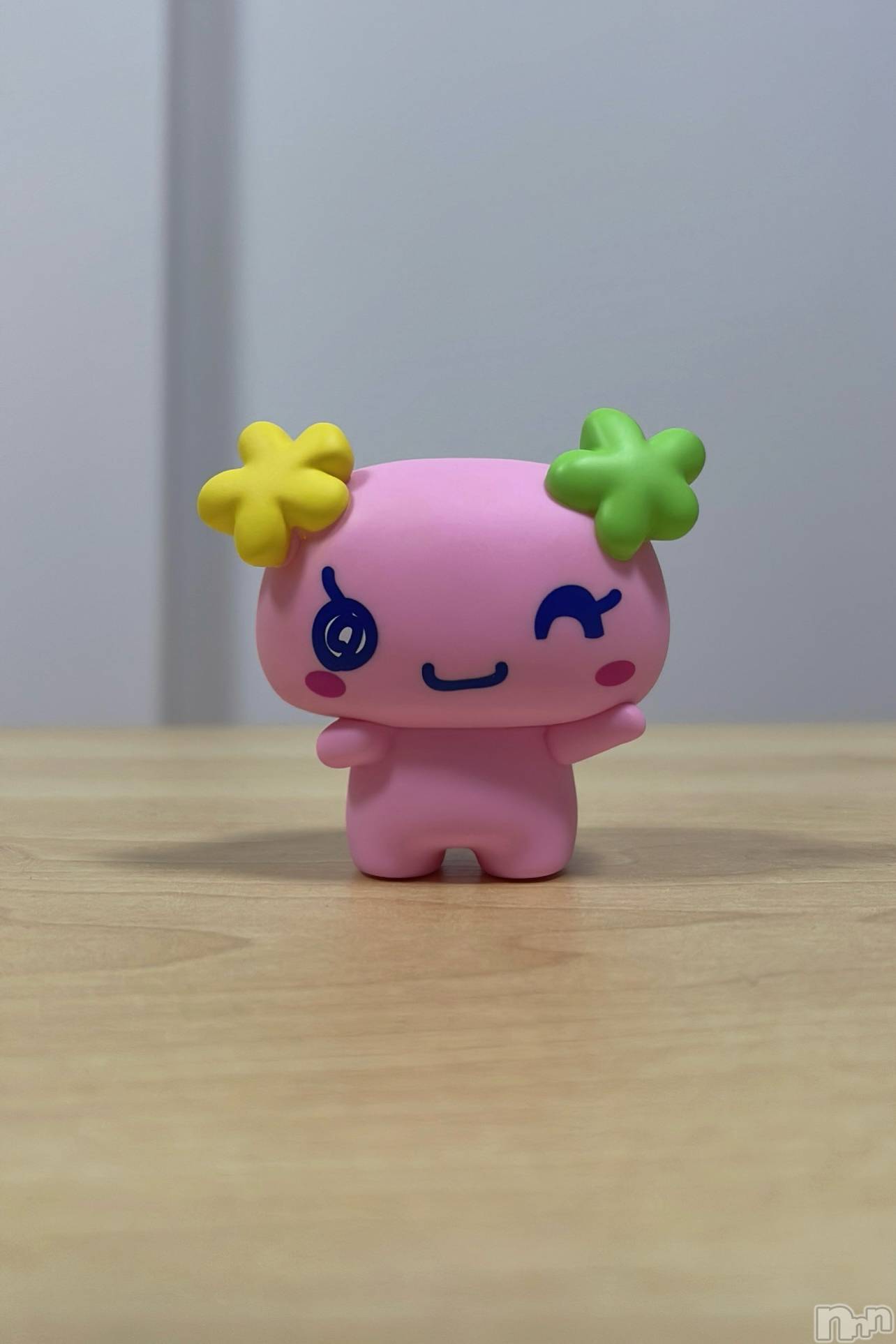 ��ë����Х��顦�����CLUB��Paladin(����֡��ѥ�ǥ���) ��2025ǯ6��5���̥�֥�����💐.��♡��