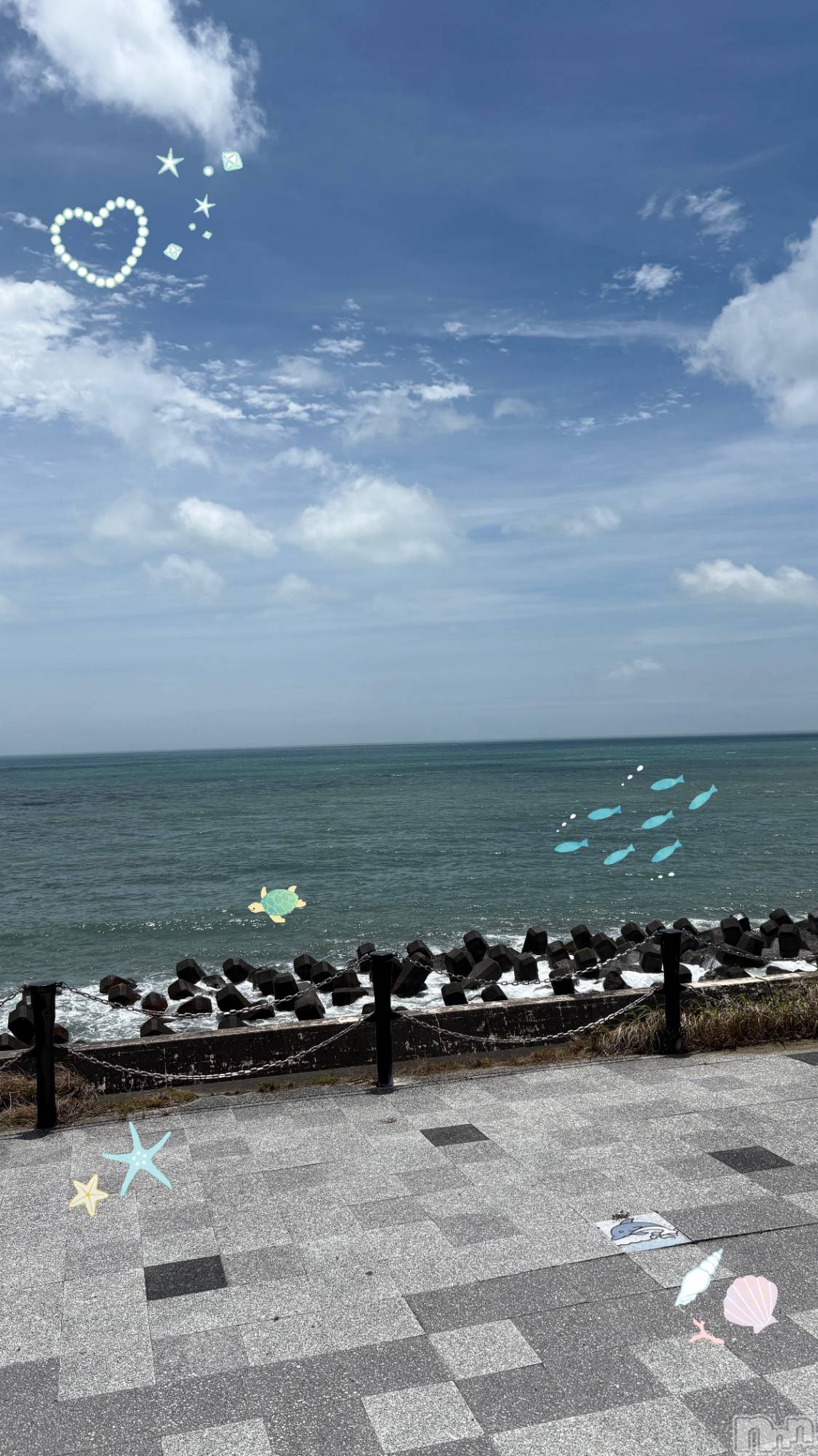 ��ë����Х��顦�����CLUB��Paladin(����֡��ѥ�ǥ���) ��2025ǯ6��26���̥�֥�����𓇼𓆡𓆉 ⋆��