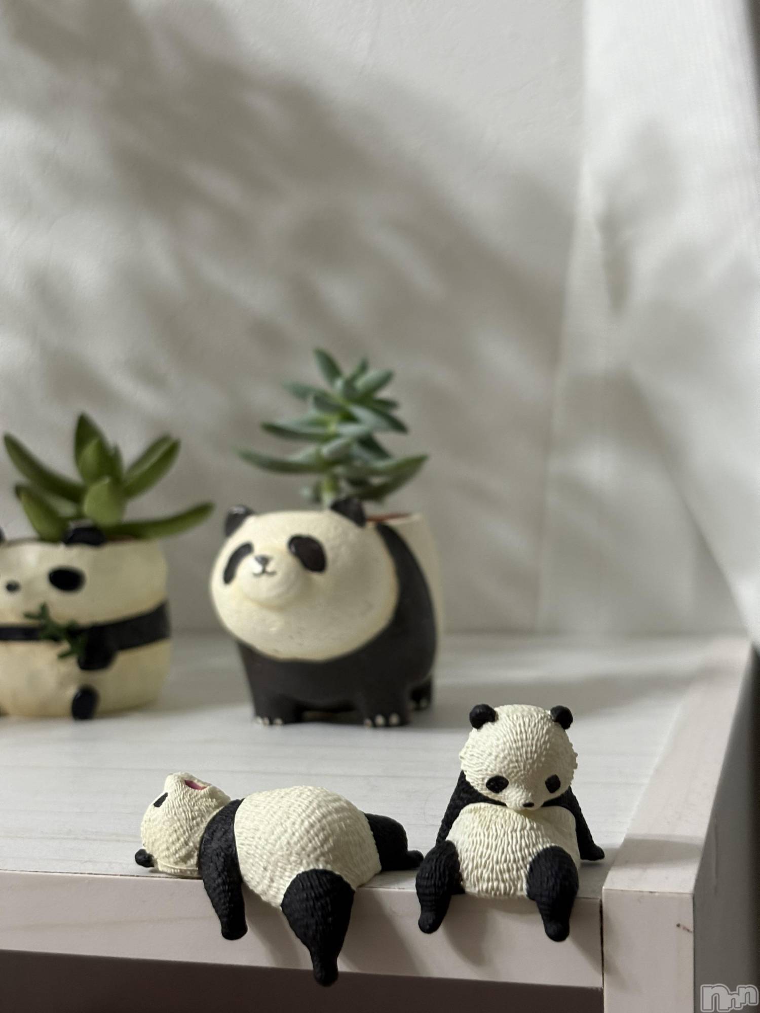 ��ë����Х��顦�����CLUB��Paladin(����֡��ѥ�ǥ���) ��2025ǯ8��25���̥�֥����֤Ѥ��������🌟��