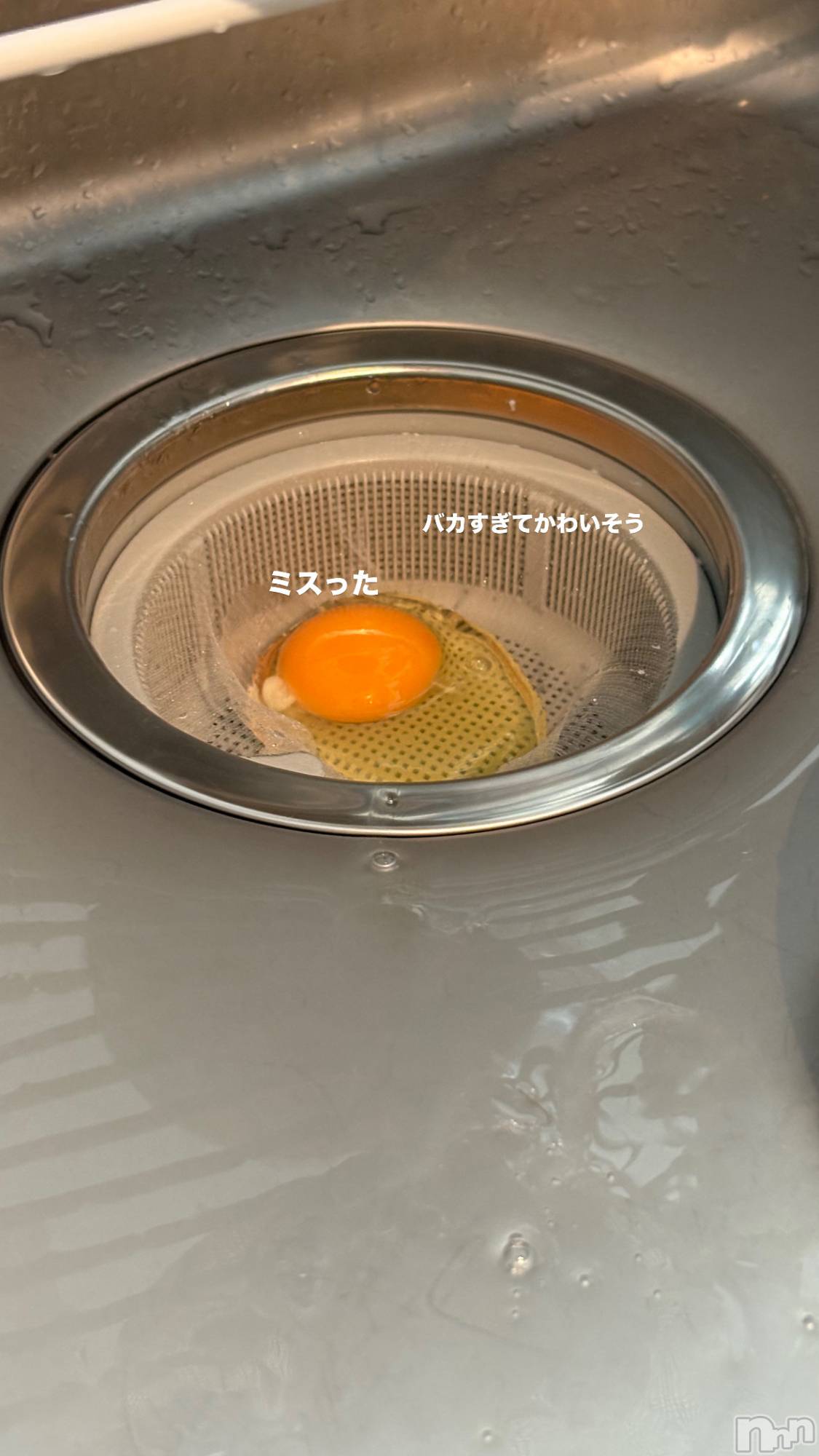 ��ë����Х��顦�����CLUB��Paladin(����֡��ѥ�ǥ���) ��2025ǯ9��25���̥�֥����֤�������