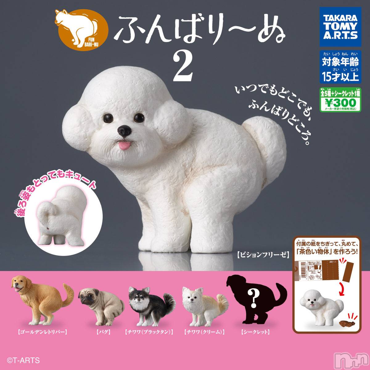 ��ë����Х��顦�����CLUB��Paladin(����֡��ѥ�ǥ���) ��2025ǯ10��19���̥�֥����ָ��Ĥ���~������🥹��