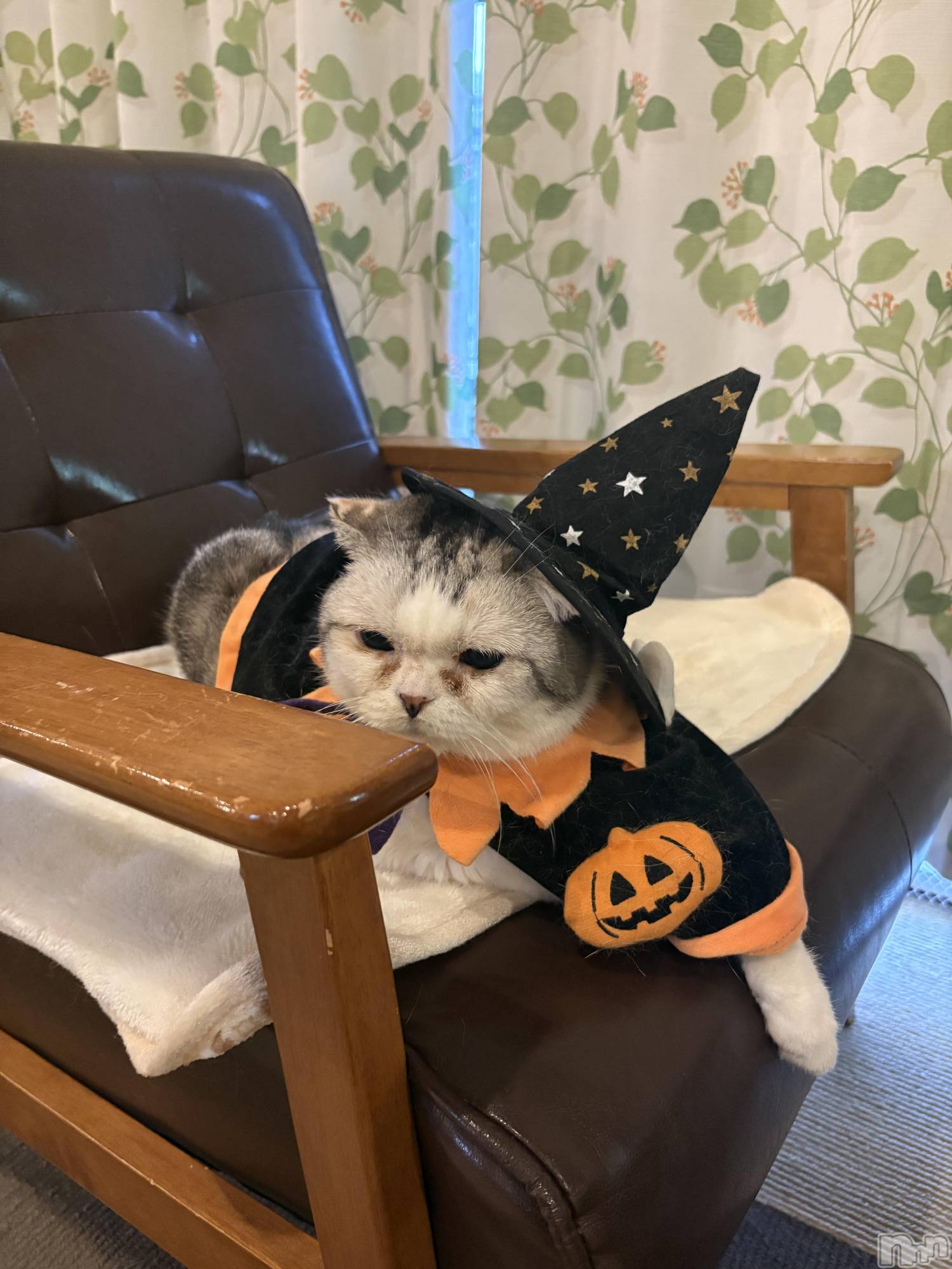 ��ë����Х��顦�����CLUB��Paladin(����֡��ѥ�ǥ���) ��2025ǯ10��29���̥�֥�����ǰ��Ρ���🐾��