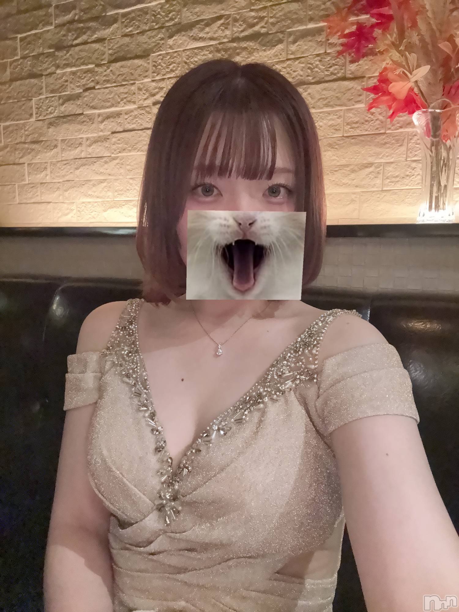 ��ë����Х��顦�����CLUB��Paladin(����֡��ѥ�ǥ���) ��2025ǯ11��14���̥�֥����ֶ�����~👑��