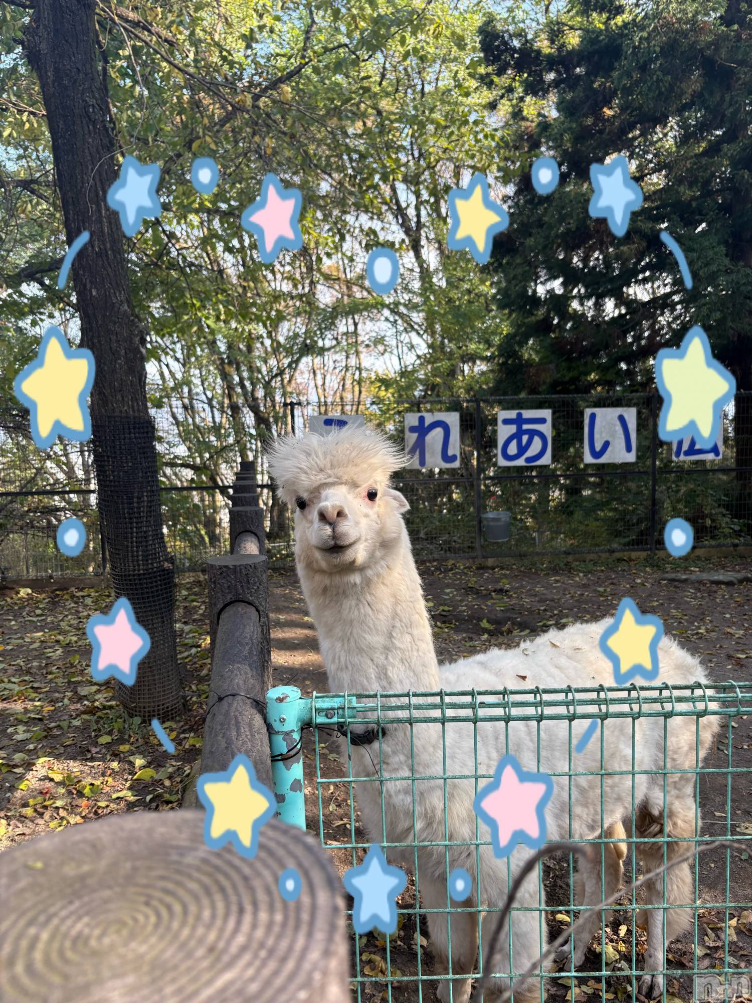 ��ë����Х��顦�����CLUB��Paladin(����֡��ѥ�ǥ���) ��2025ǯ11��18���̥�֥����֤դ�դ蘆���