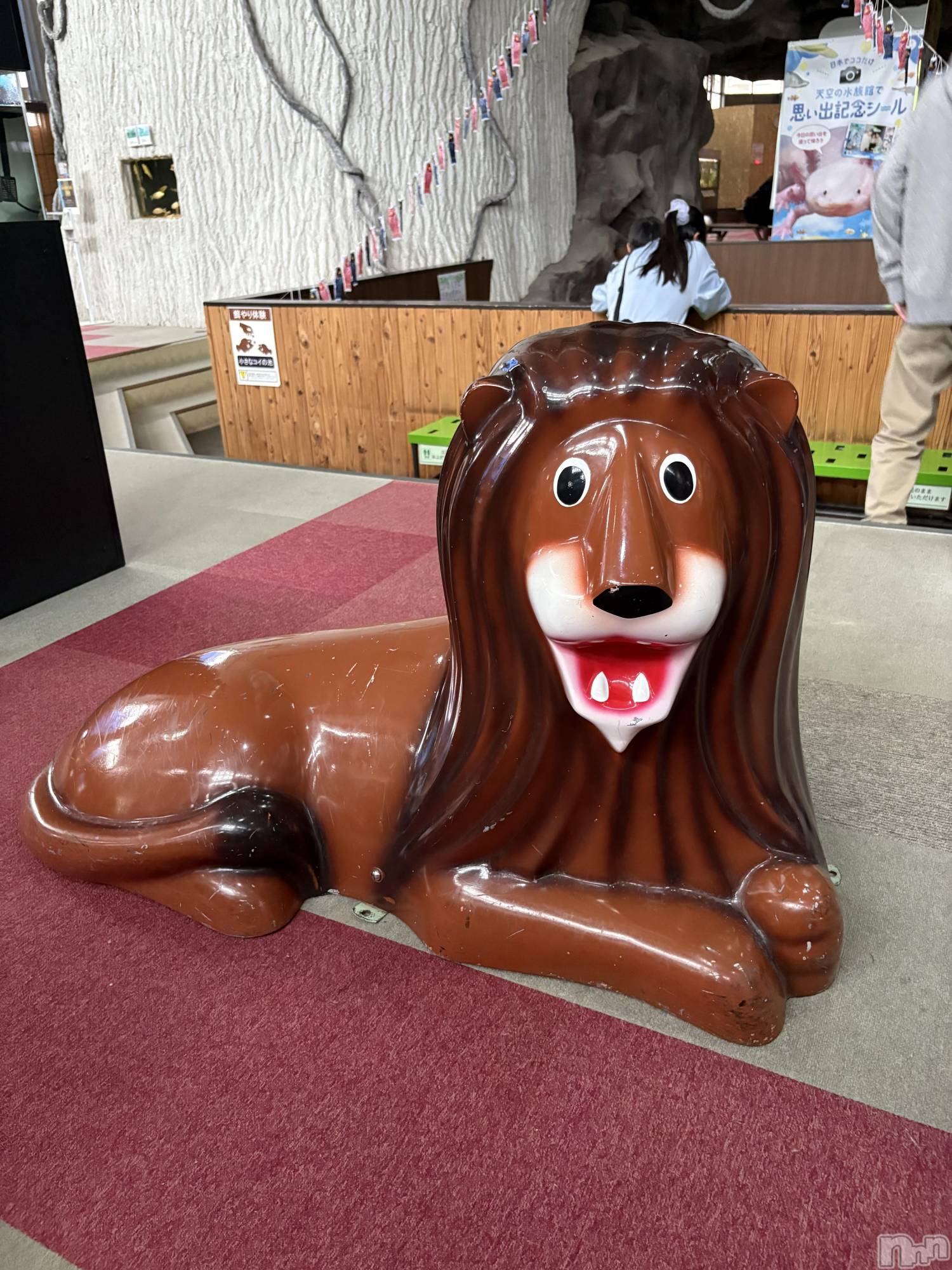 ��ë����Х��顦�����CLUB��Paladin(����֡��ѥ�ǥ���) ��2025ǯ11��25���̥�֥����֤����餷�Ƥ�͡�