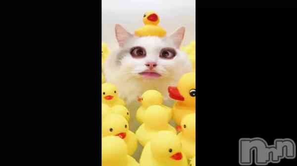 �ֹ⹻���֤�😖��