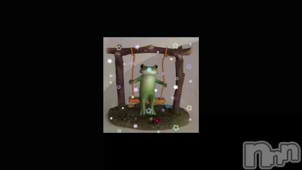 ��🐸⸝⸝꙳��