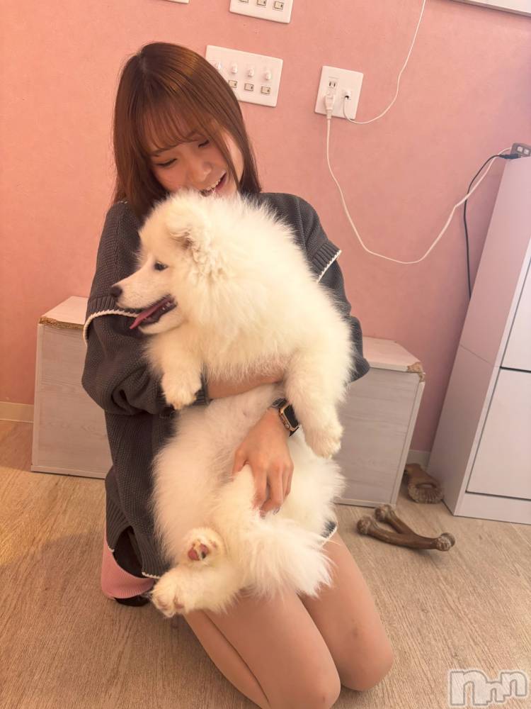 ��ȯ�ĥ���Х��顦�����double(���֥�) ������2��2���̥�֥�����������ޤ���🐾��