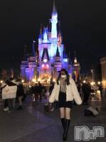 ��ȯ�ĥ���Х��顦�����double(���֥�) ������1��12���̥�֥����֤ʤĤ�������