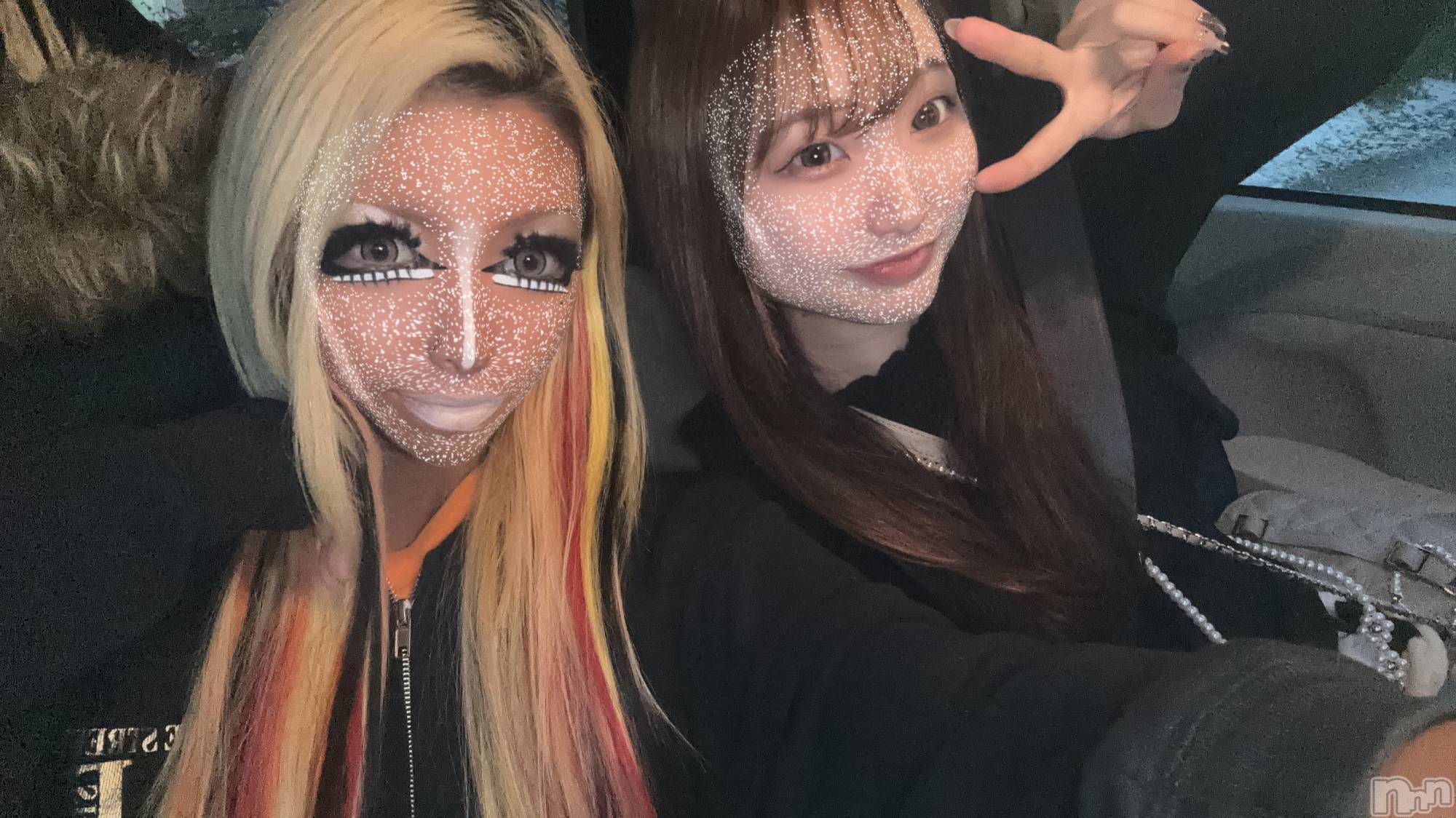 ��ȯ�ĥ���Х��顦�����double(���֥�) ��2026ǯ2��9���̥�֥��������դʥ��ȡ�