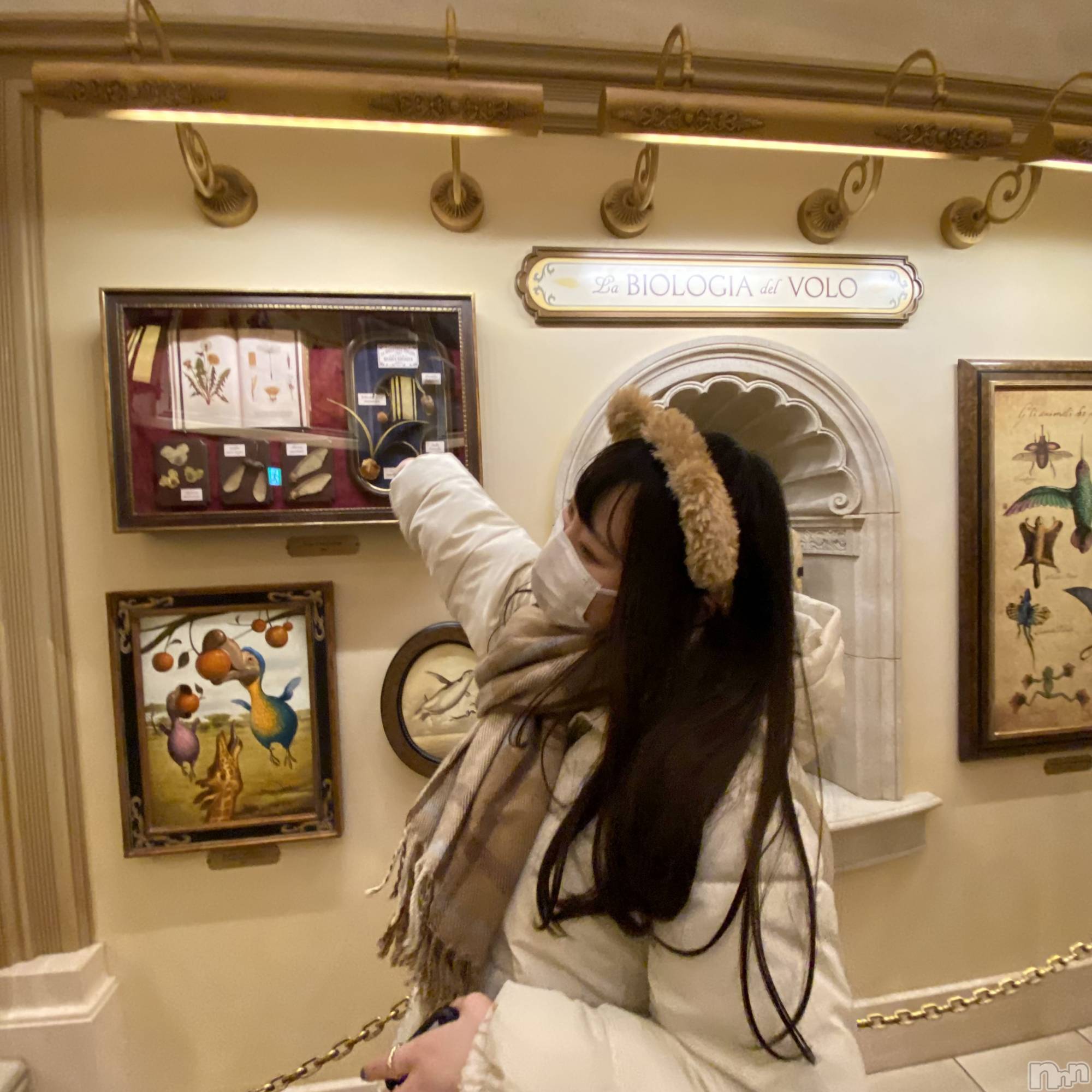 ��ȯ�ĥ���Х��顦�����double(���֥�) ��2026ǯ2��11���̥�֥����֤Ĥ�����������á���