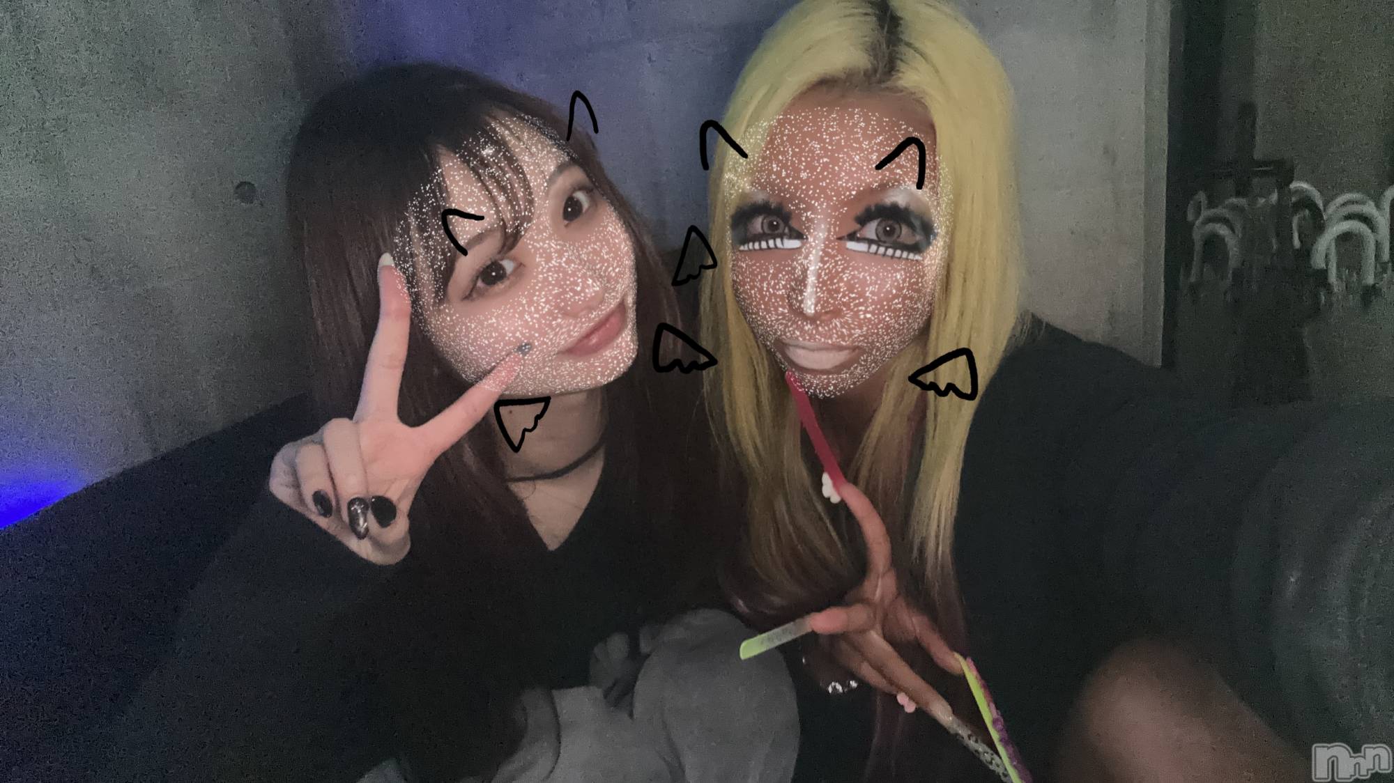 ��ȯ�ĥ���Х��顦�����double(���֥�) ��2026ǯ3��31���̥�֥����֤���������✌🏻��