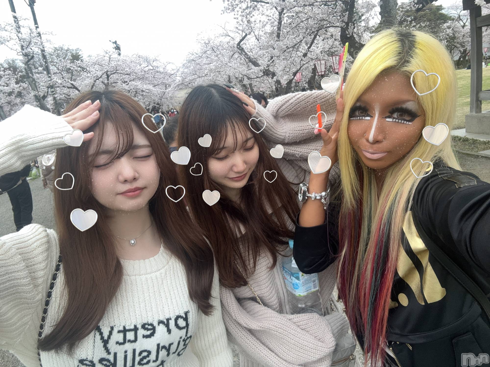 ��ȯ�ĥ���Х��顦�����double(���֥�) ��2026ǯ4��6���̥�֥����ָ³��ָ���