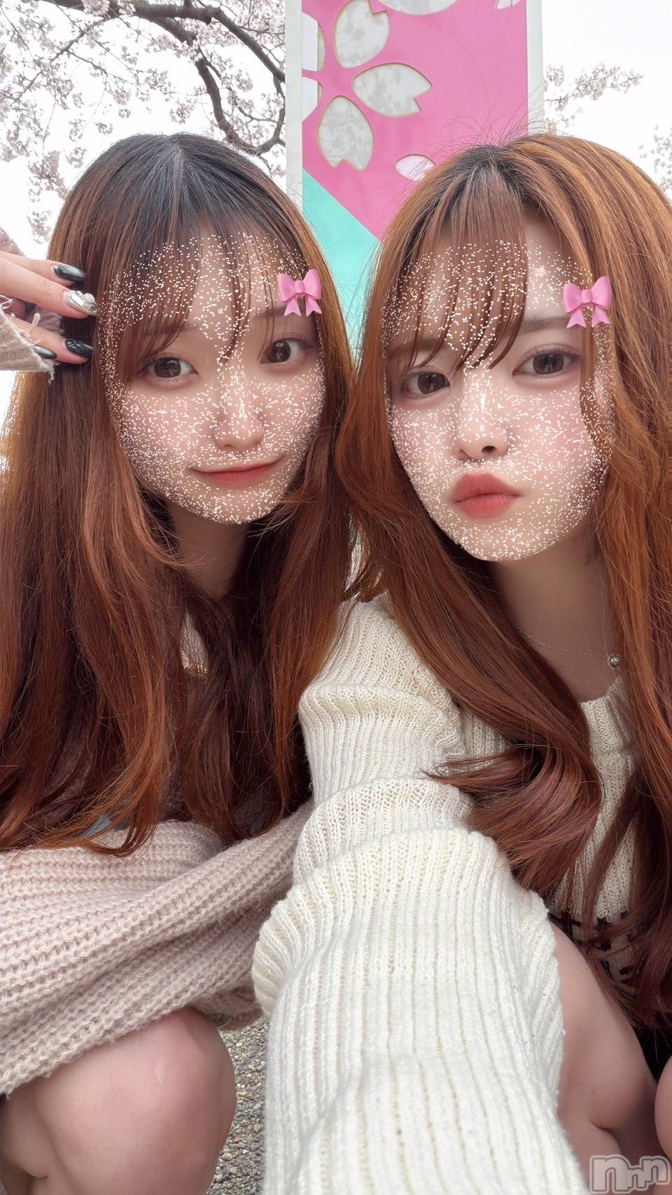 ��ȯ�ĥ���Х��顦�����double(���֥�) ��2026ǯ4��13���̥�֥����֤ˤ塼�������