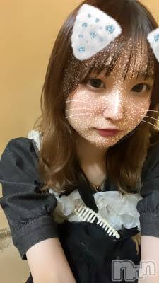 ��ȯ�ĥ���Х��顦�����double(���֥�) ������4��8���̥�֥�����ȱ����