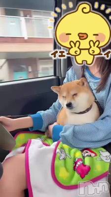 夭🫶💕