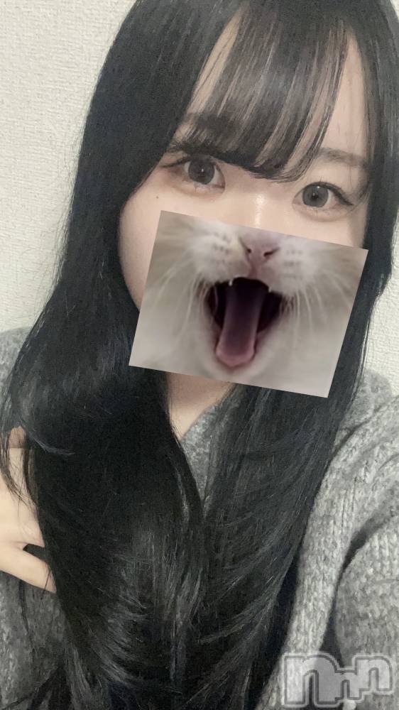 ȯѥ˥󥯥ֿ㥳(˥) 225̥֥ȱޤ🐈‍⬛🫐