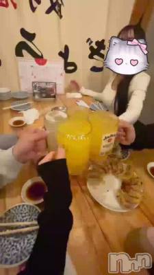 ����ѡ�����������������