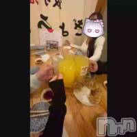 ����ѡ�����������������