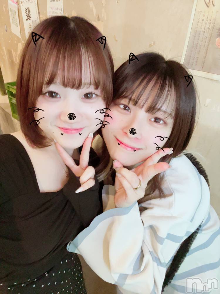 ȯѥ˥󥯥ֿ㥳(˥) 41ֹ̥֥