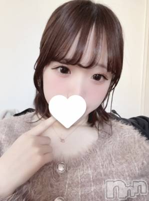 ȯѥ˥󥯥ֿ㥳(˥) (21)119̥֥줬1֡