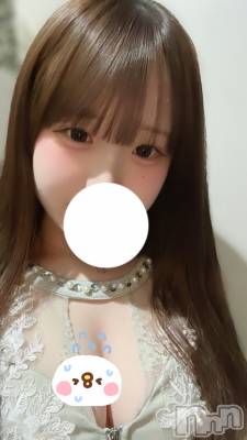 ȯѥ˥󥯥ֿ㥳(˥) (21)223̥֥👗