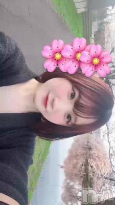 Ǥꤹ