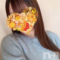 香菜【新人】