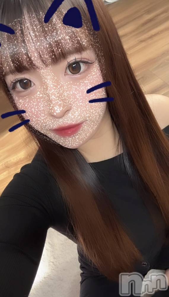 ƲХ顦151-A() 24̥֥24 2044ʬΥ֥