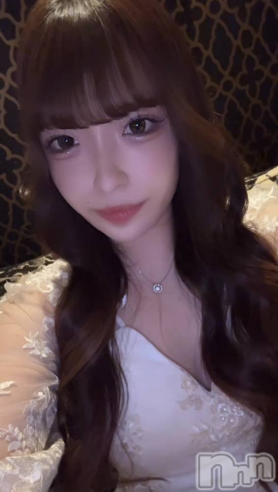 ƲХ顦151-A() 220̥֥220 1921ʬΥ֥