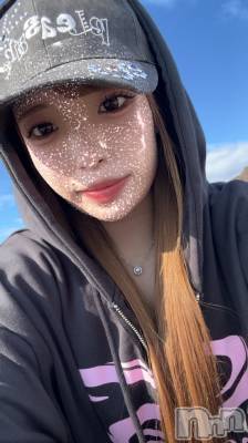 ��Ʋ����Х��顦�����151-A(������������) �������3��13���̥�֥����֤Ҥ����֤�🫶��