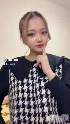 113 1221ʬư